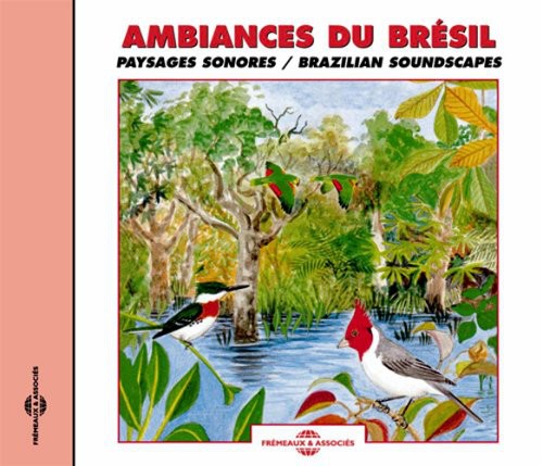 Various Artists - Brazilian Soundscapes Music CD