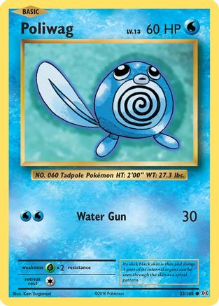 Poliwag 023/108 - XY Evolutions