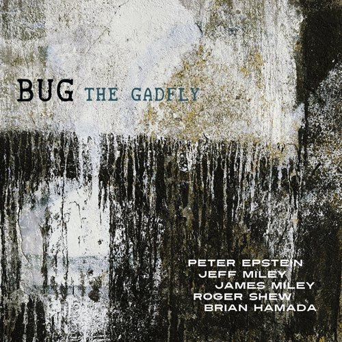 Epstein/Shepik/Kilmer - The Gadfly Music CD
