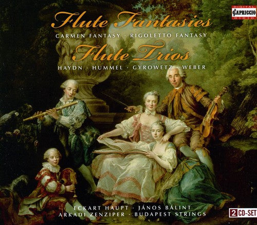 Haydn/Hummel/Weber/Gyrowetz - Flute Fantasies / Flute Trios Music CD