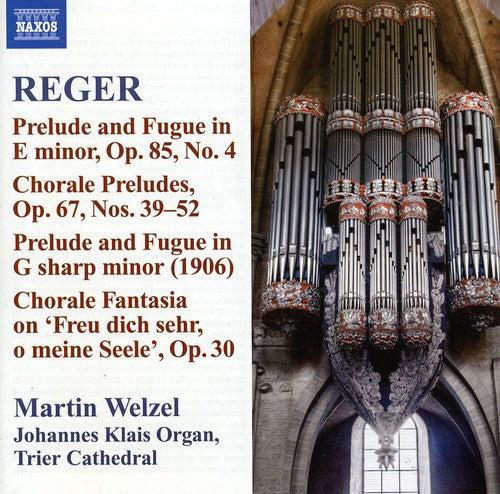 Martin Welzel - Reger 10: Organ Works Music CD
