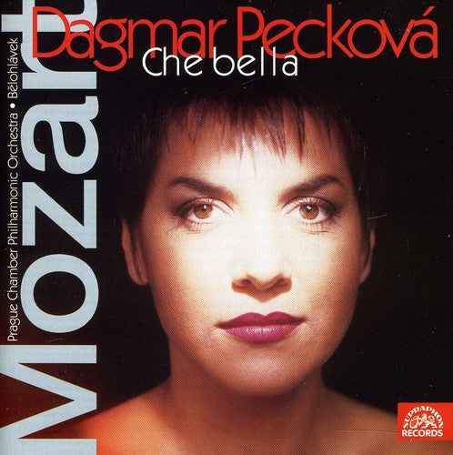 Jiřà Sulženko - Arias Music CD