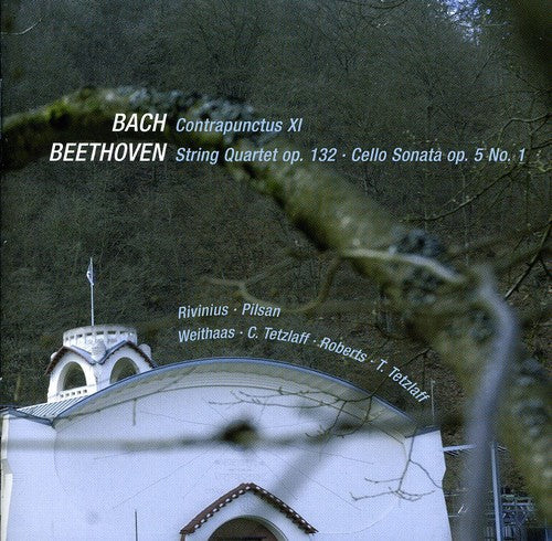 Beethoven / J Bach S / Tetzlaff / Weithaas - Chamber Works Music CD