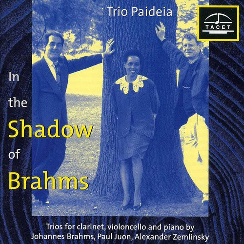 Brahms / Zemlinsky / Juon / Trio Paideia - Im Schatten Von Brahms 1 Music CD