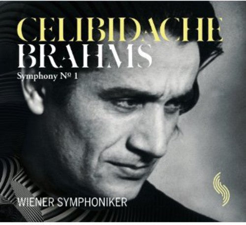 Vienna Symphony Orchestra - Symphony No 1 Music CD