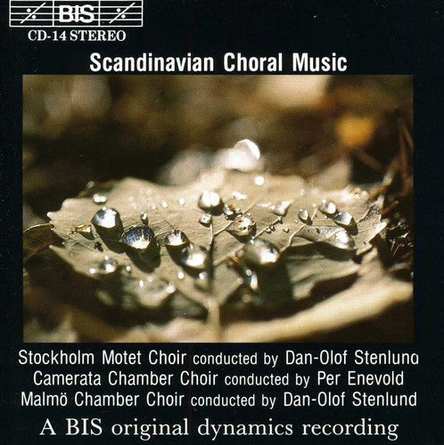 Scandinavian Choral Music / Various - Scandinavian Choral Music / Various Music CD