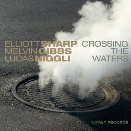 Lucas Niggli - Crossing the Waters Music CD