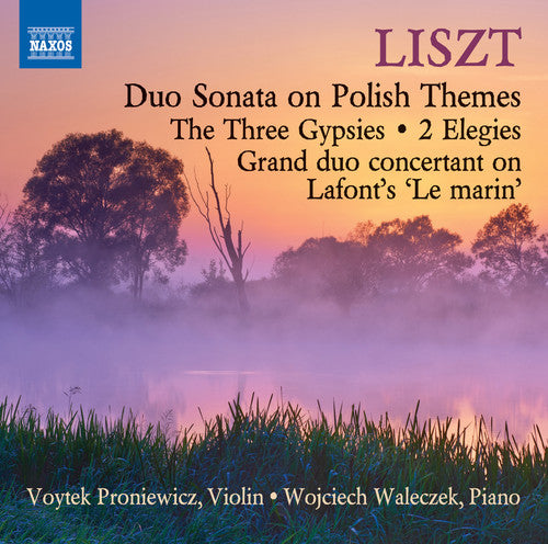 Liszt / Proniewicz / Waleczek - Music for Violin & Piano Music CD