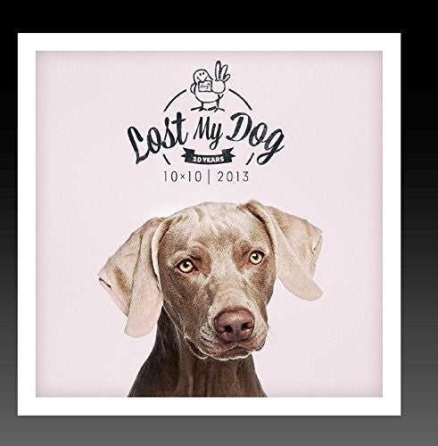 Lost My Dog 10x10 2013 / Var - Lost My Dog 10x10 - 2013 Music CD
