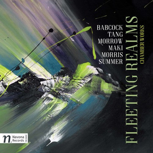 Babcock / Masek / Fry - Fleeting Realms Music CD