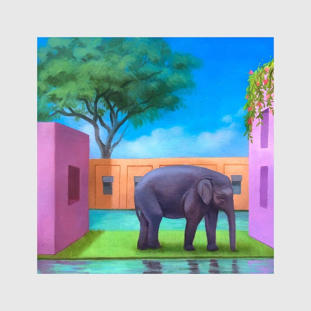 Various Artists - Elephant In The Room / Various Music CD
