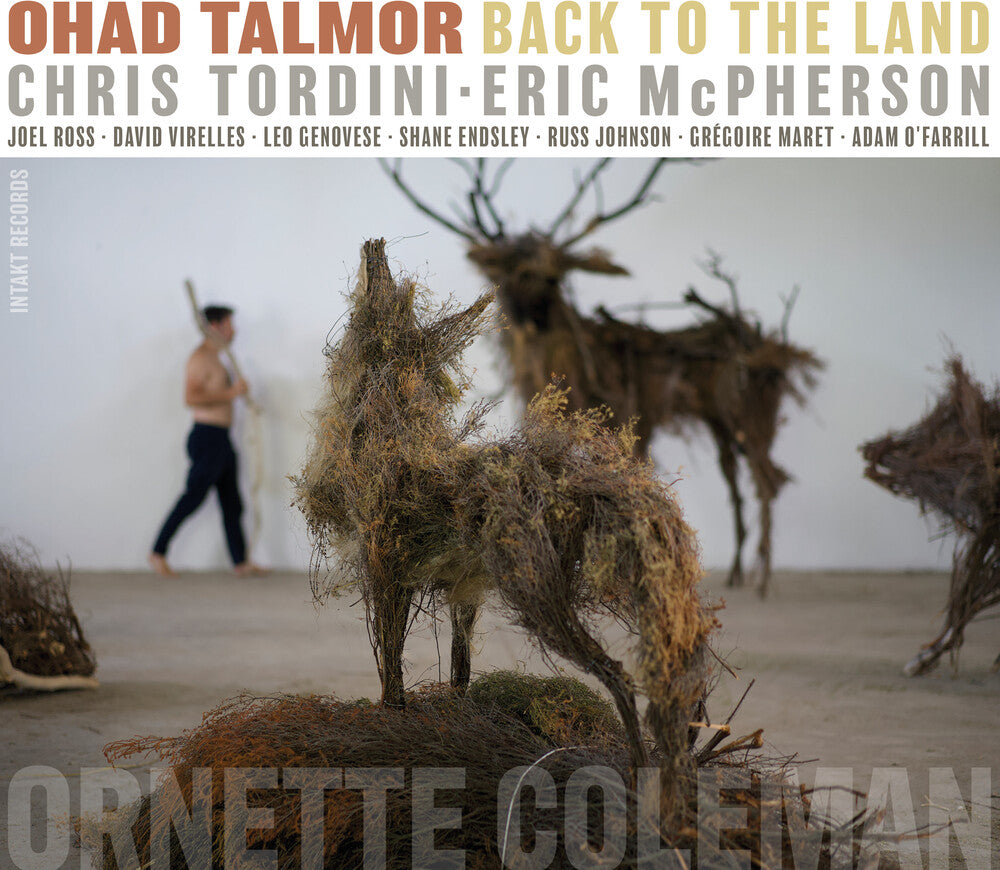 Ohad Talmor - Back To The Land Music CD