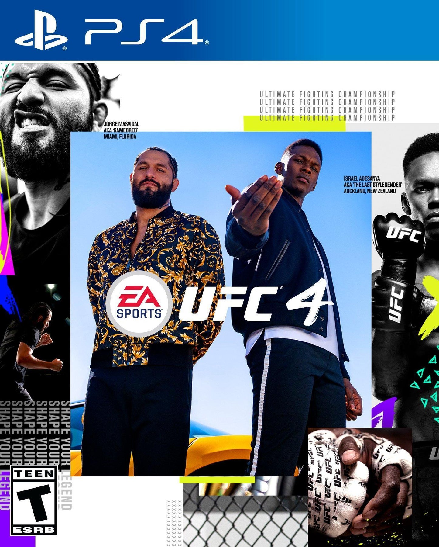 UFC 4 (PlayStation 4)