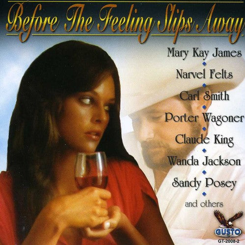 Countrys Best Before The Feeling Slips Away - Country's Best: Before the Feeling Slips Away / Various Music CD