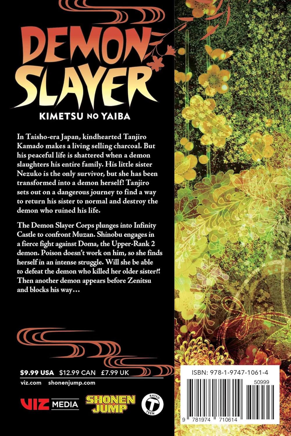 Demon Slayer Kimetsu No Yaiba Vol. 17