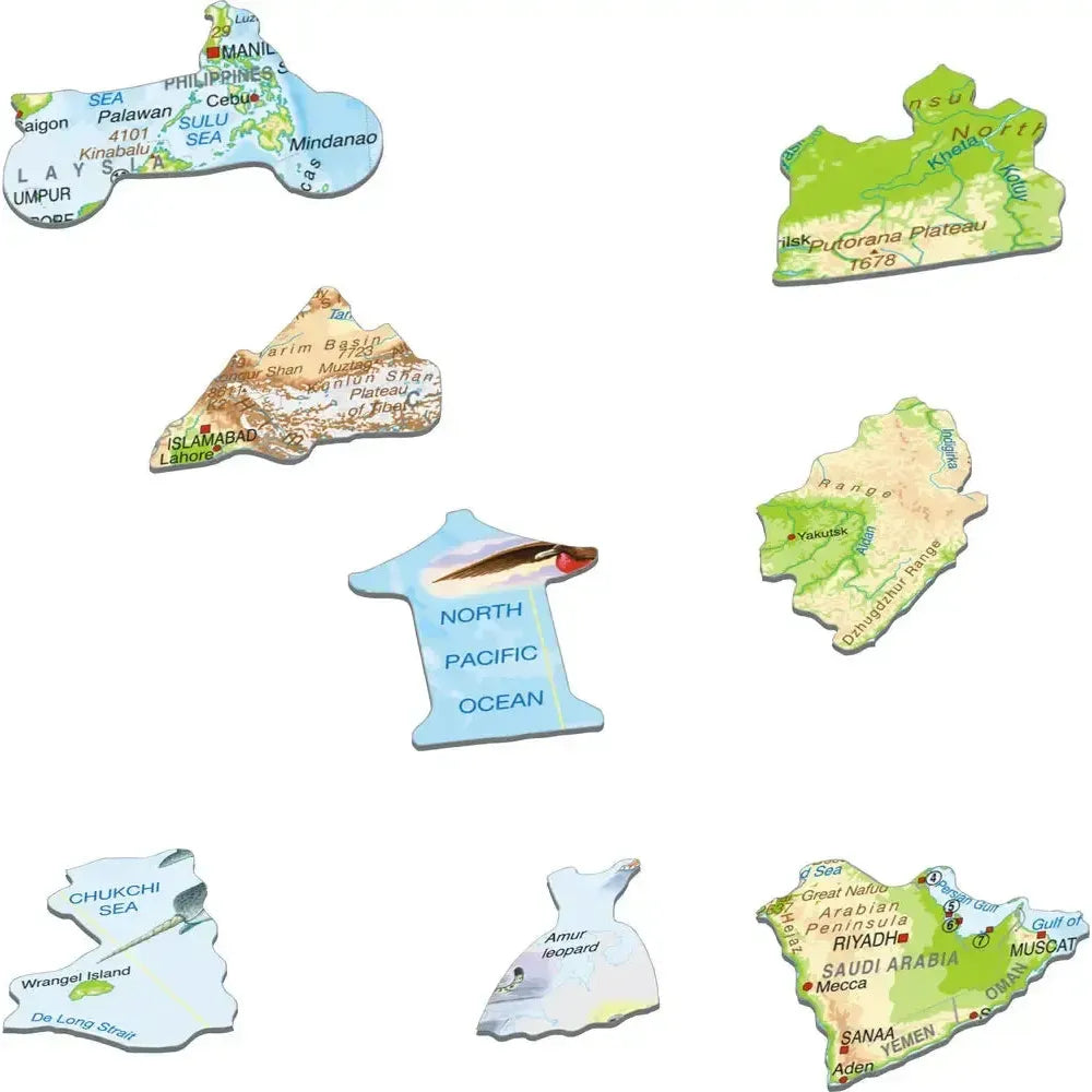 Asia Topographic Map 63 Piece Tray Jigsaw Puzzle Larsen