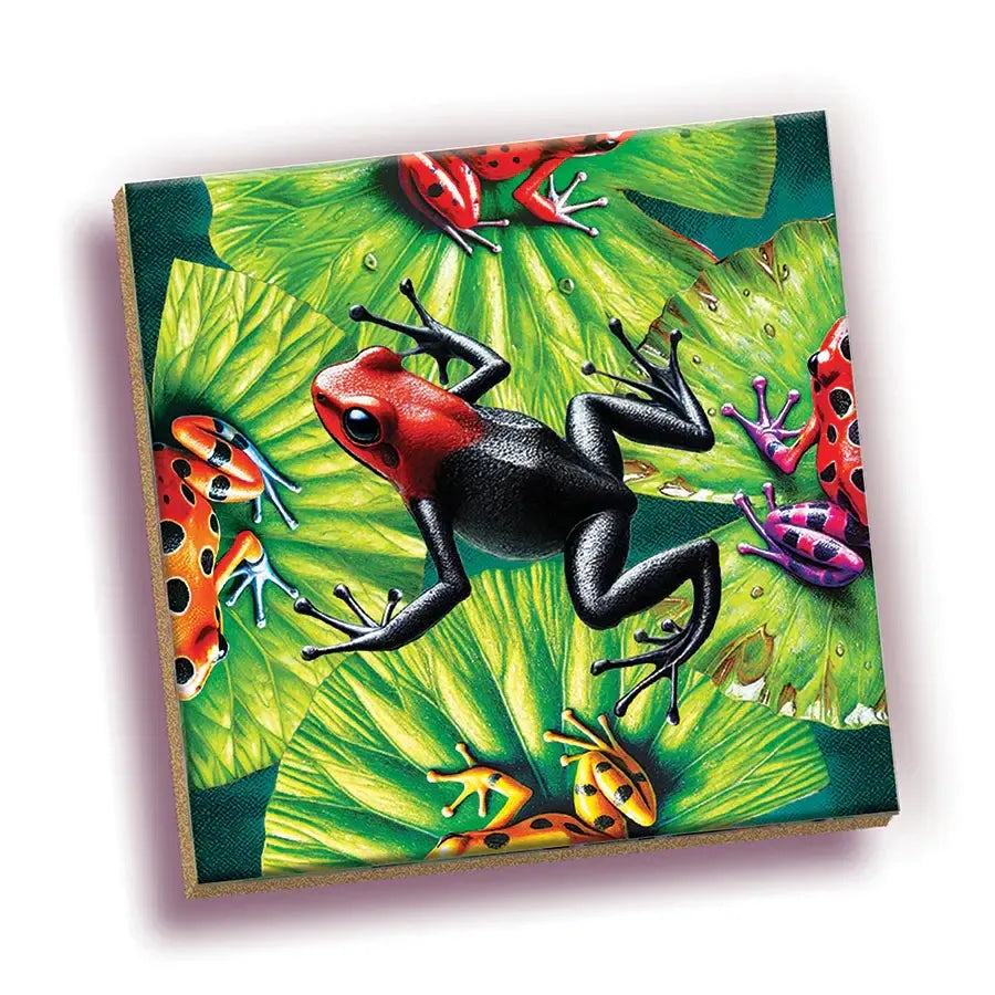Frog 25 Piece Magic Square Tile Puzzle Sudoku Style Game Outset