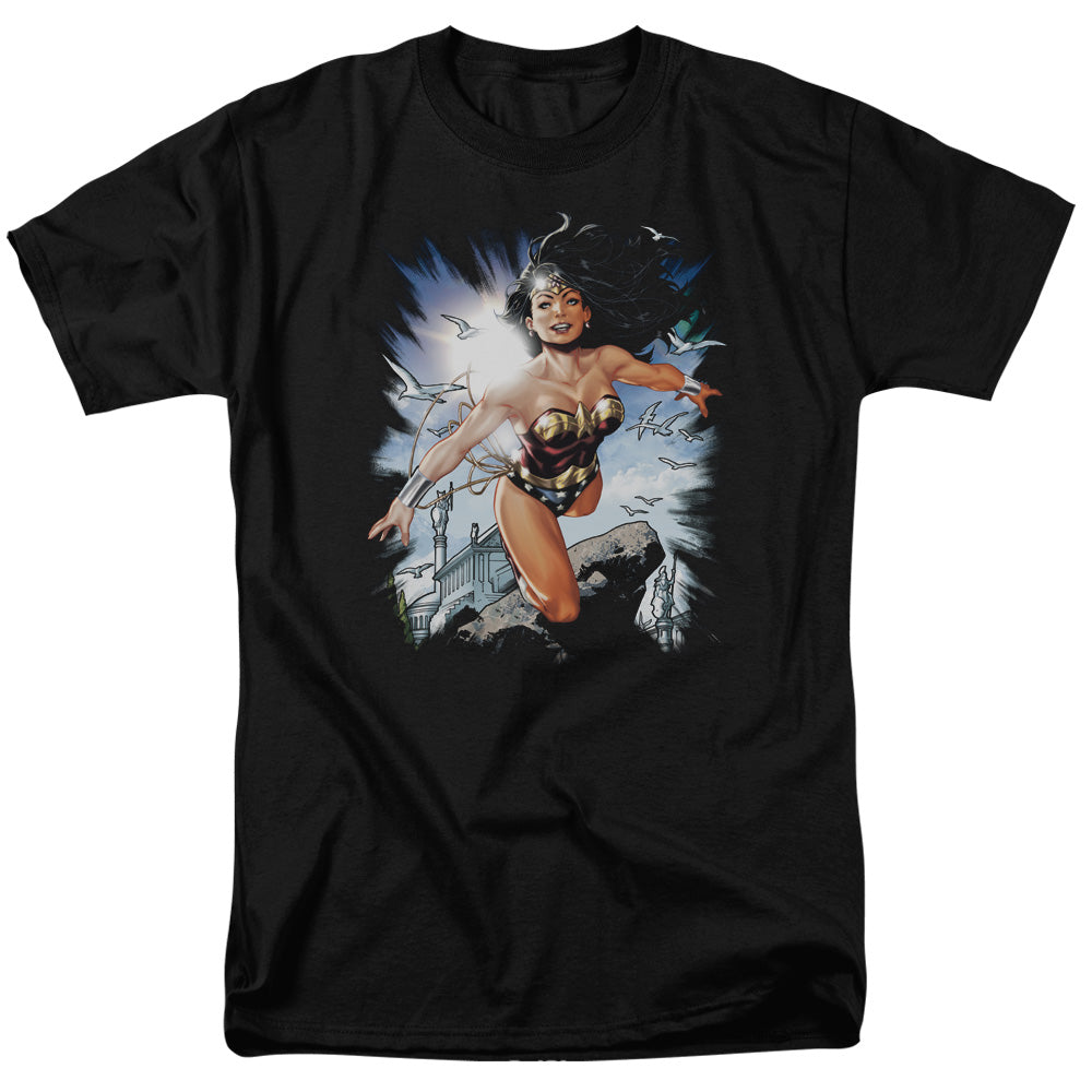 Justice League Of America Of Themyscira Mens T Shirt Black Officially Licensed