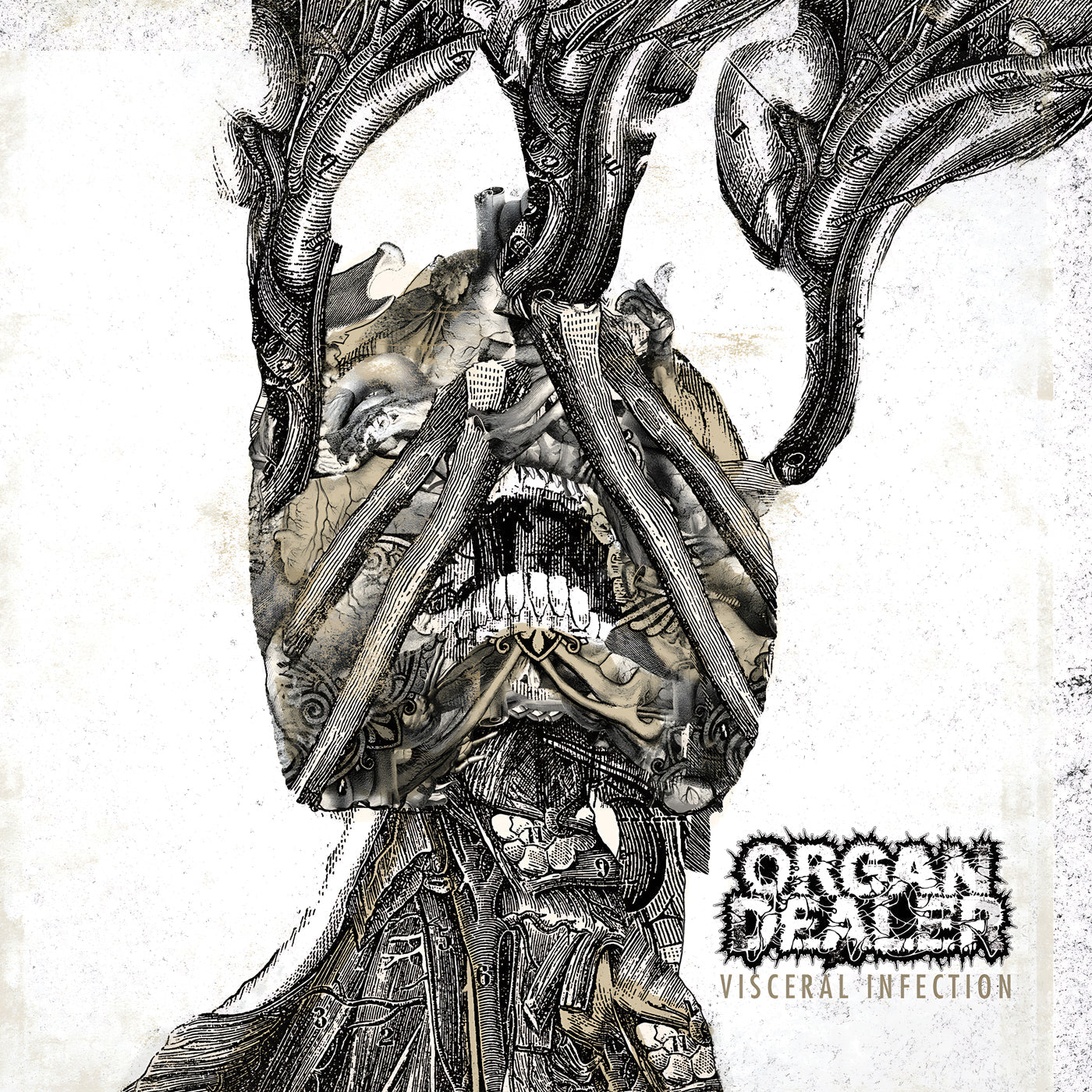 ORGAN DEALER - Visceral Infection LP (White w/ Black Marble) LTD To 77 [New]