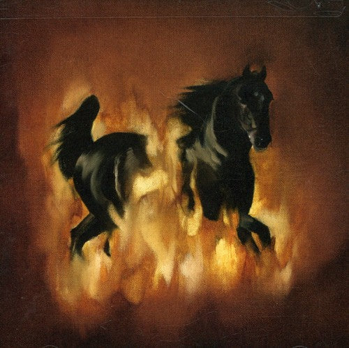 The Besnard Lakes - The Besnard Lakes Are The Dark Horse [CD]