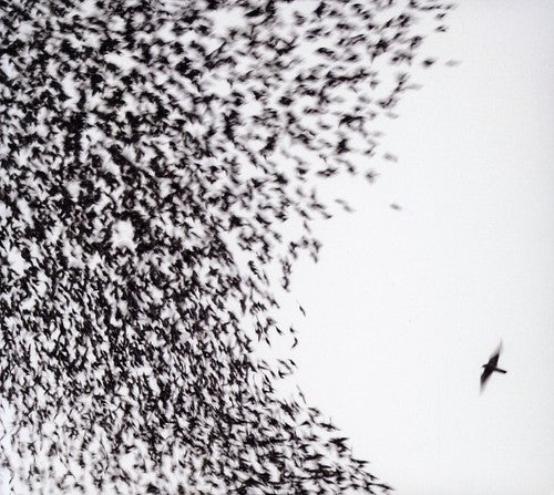 Wilco - Sky Blue Sky [CD] [New CD]