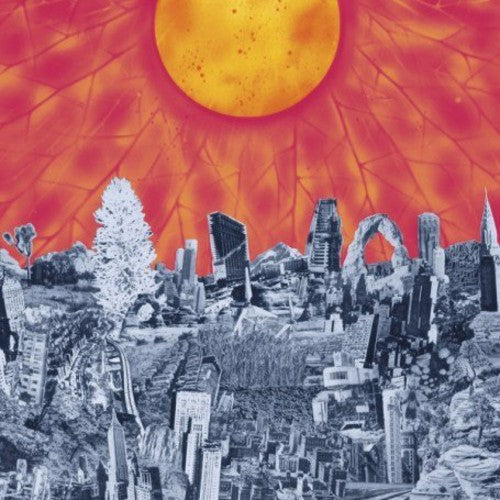 Parts & Labor - Mapmaker [LP] Vinyl Record