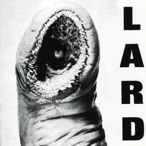 Lard - Power of Lard [EP] [EP] [New CD]