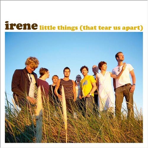 Irene - Little Things That Tear Us Apart Music CD