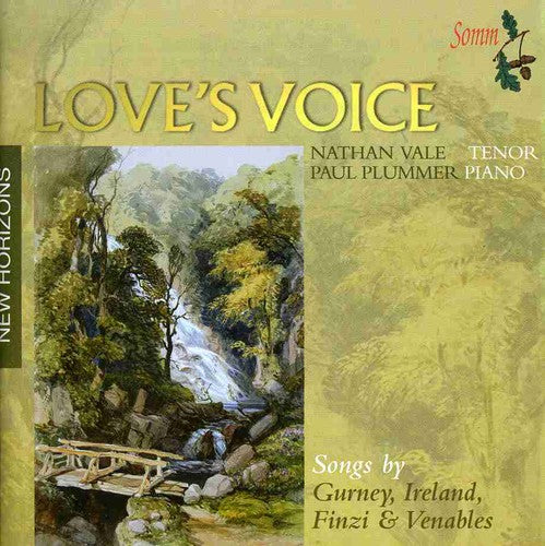 Finzi Gurney Ireland-Songs - Finzi Gurney Ireland-Songs / Various [CD]