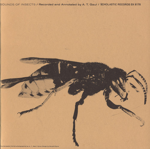 Sounds Of Insects - Sounds of Insects / Various Music CD