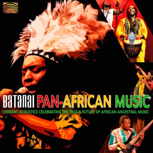 Wedzerai Zvirevo - Pan-African Music: Vibrant Acoustics Celebrating Music CD