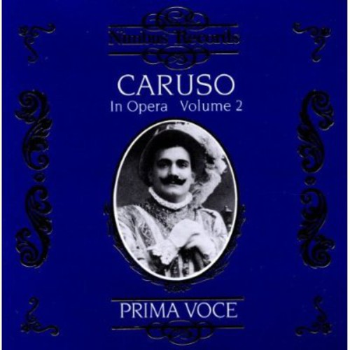 Enrico Caruso - Enrico Caruso in Opera 2 [CD]