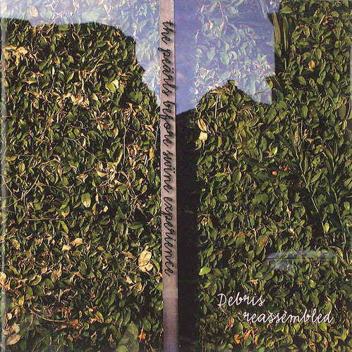 Pearls Before Swine Experience - Pearls Before Swine Music CD