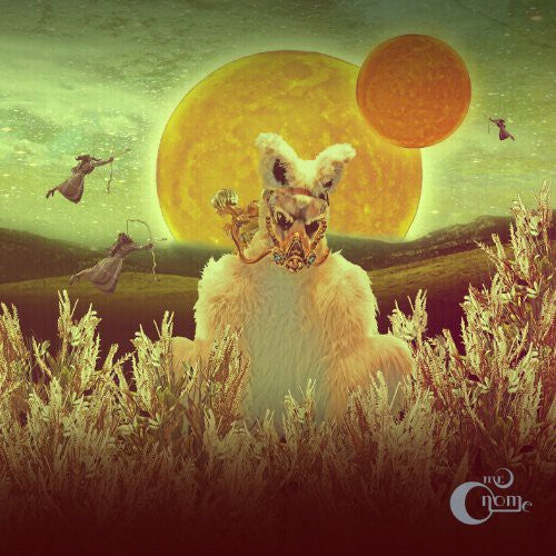 Mr Gnome - Madness in Miniature [LP] [New Vinyl]