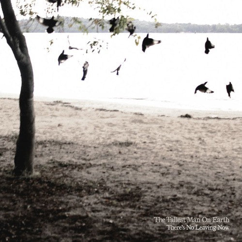 The Tallest Man On Earth - There's No Leaving Now Music CD