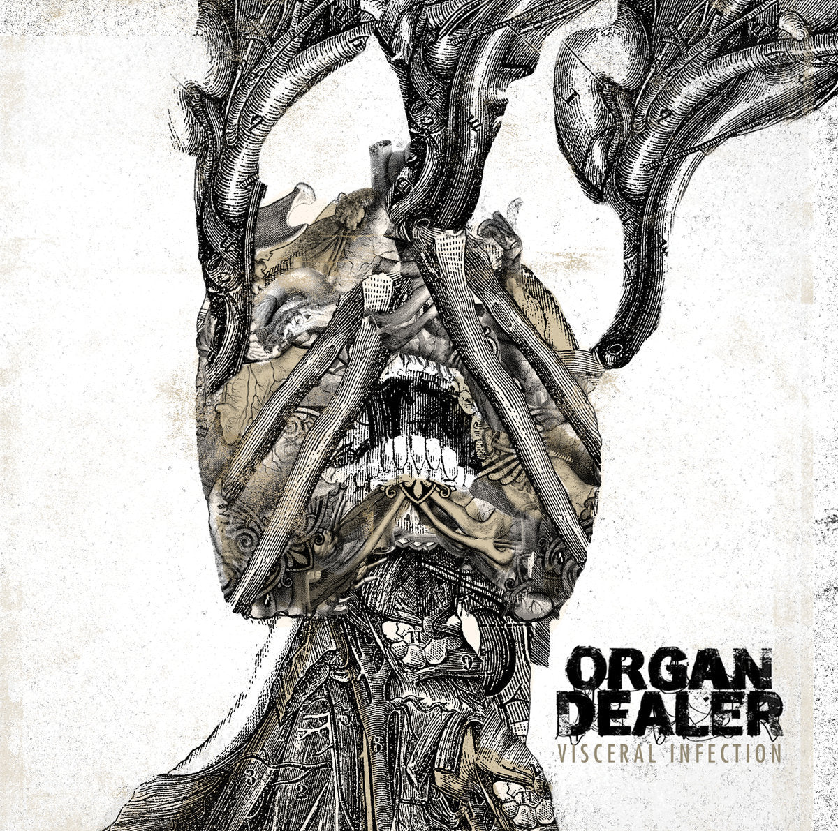 ORGAN DEALER - Visceral Infection CD [New]