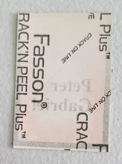 Peter Gabriel 80's in Concert Cloth Small Backstage Pass 2"x3"