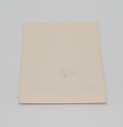 Molly Hatchet Tour 1981 Backstage Pass
