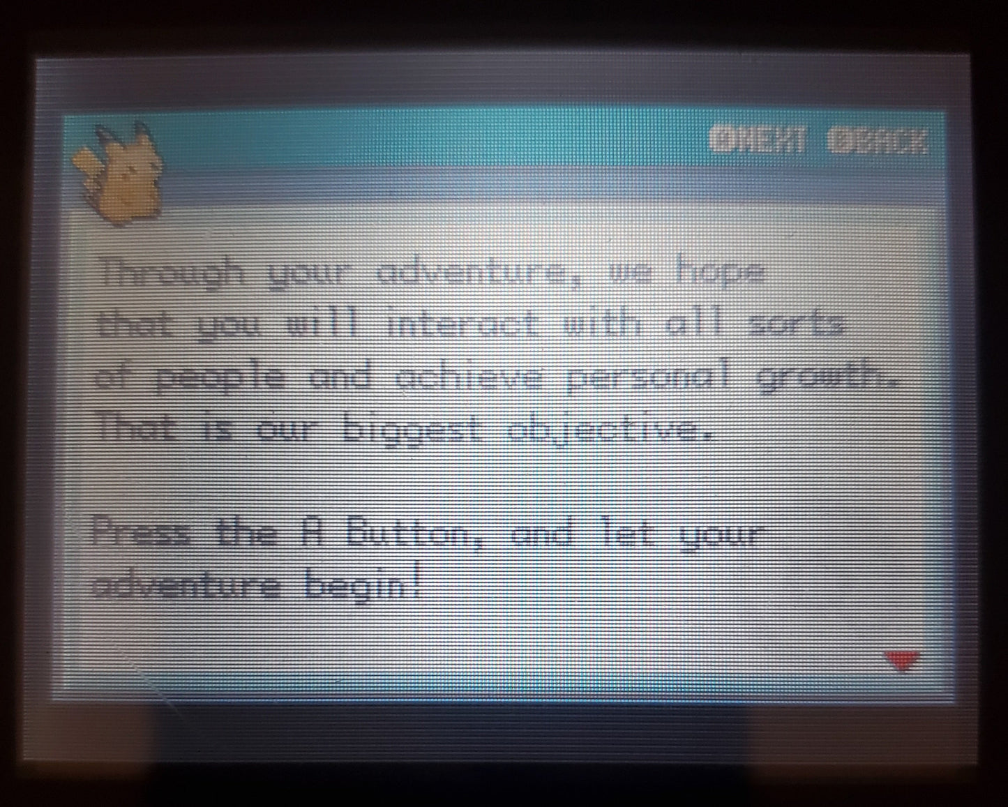 Pokemon Fuligin GBA ROM Hack Video Game Custom Gameboy Advance