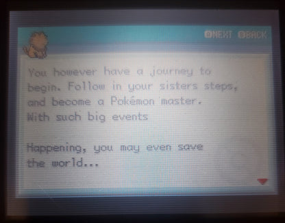 Pokemon Chaos Black GBA ROM Hack Video Game Custom Gameboy Advance