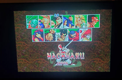 Samurai Shodown Sega Genesis Mega Drive Video Game Cartridge 1994
