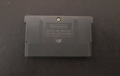 Pokemon Dreary GBA ROM Hack Video Game Boy Advance