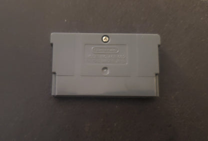 Pokemon FireRed Extended GBA ROM Hack Video Game Boy Advance