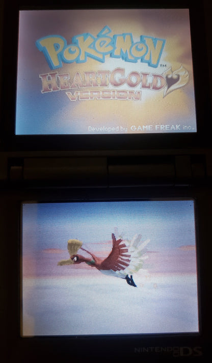Pokemon Pure Heart NDS Nintendo DS Custom ROM Hack Video Game