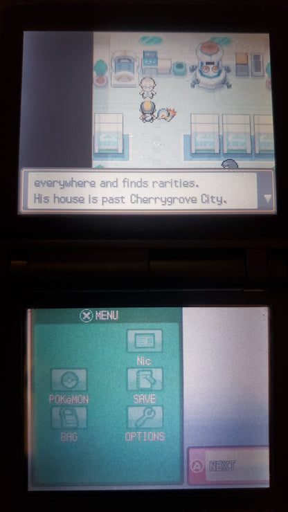 Pokemon Pure Heart NDS Nintendo DS Custom ROM Hack Video Game