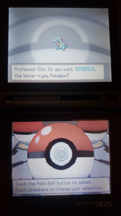 Pokemon True Soul NDS Nintendo DS Custom ROM Hack Video Game Cartridge