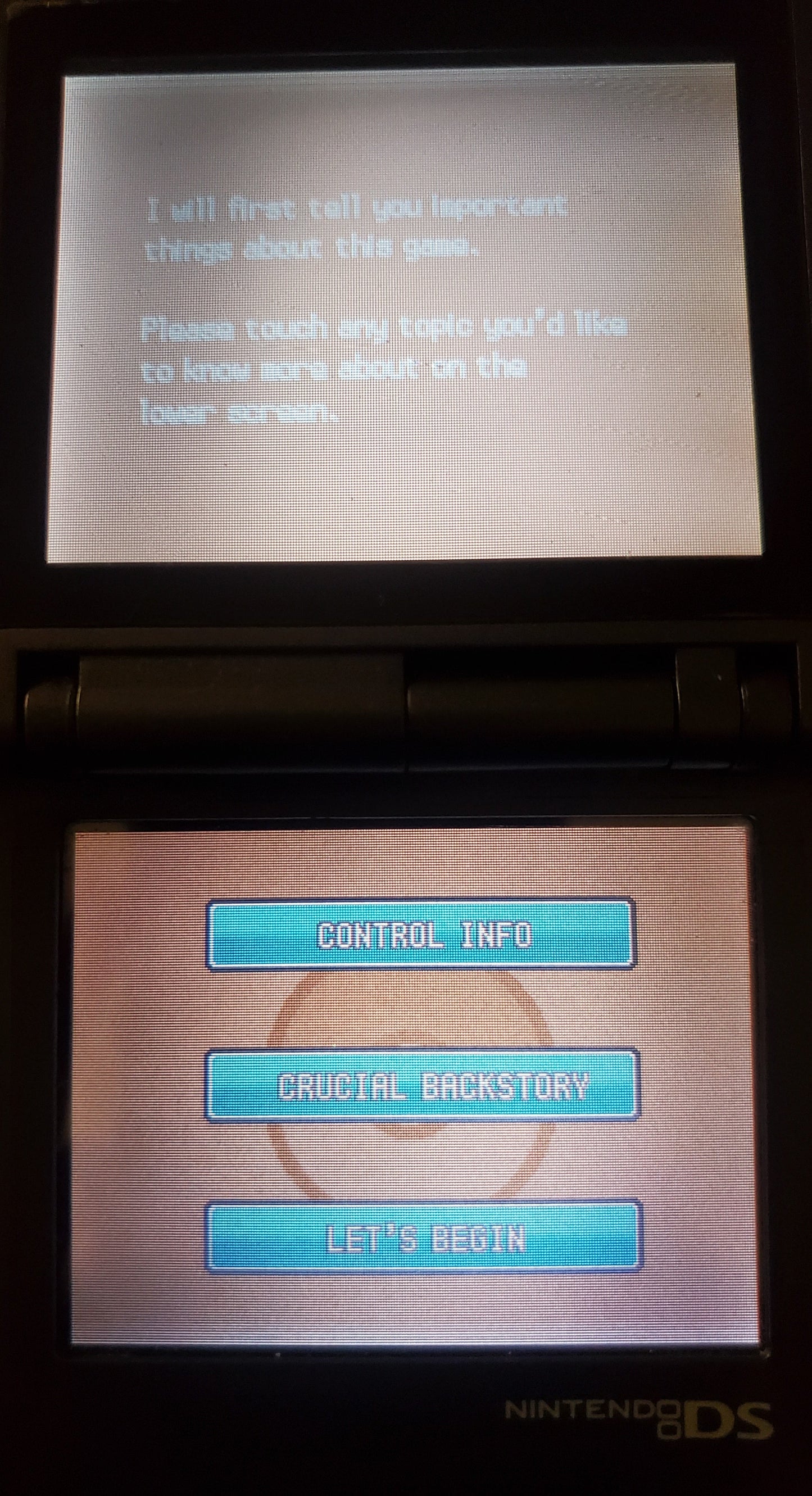 Pokemon GarbageGold NDS Nintendo DS Custom ROM Hack Video Game