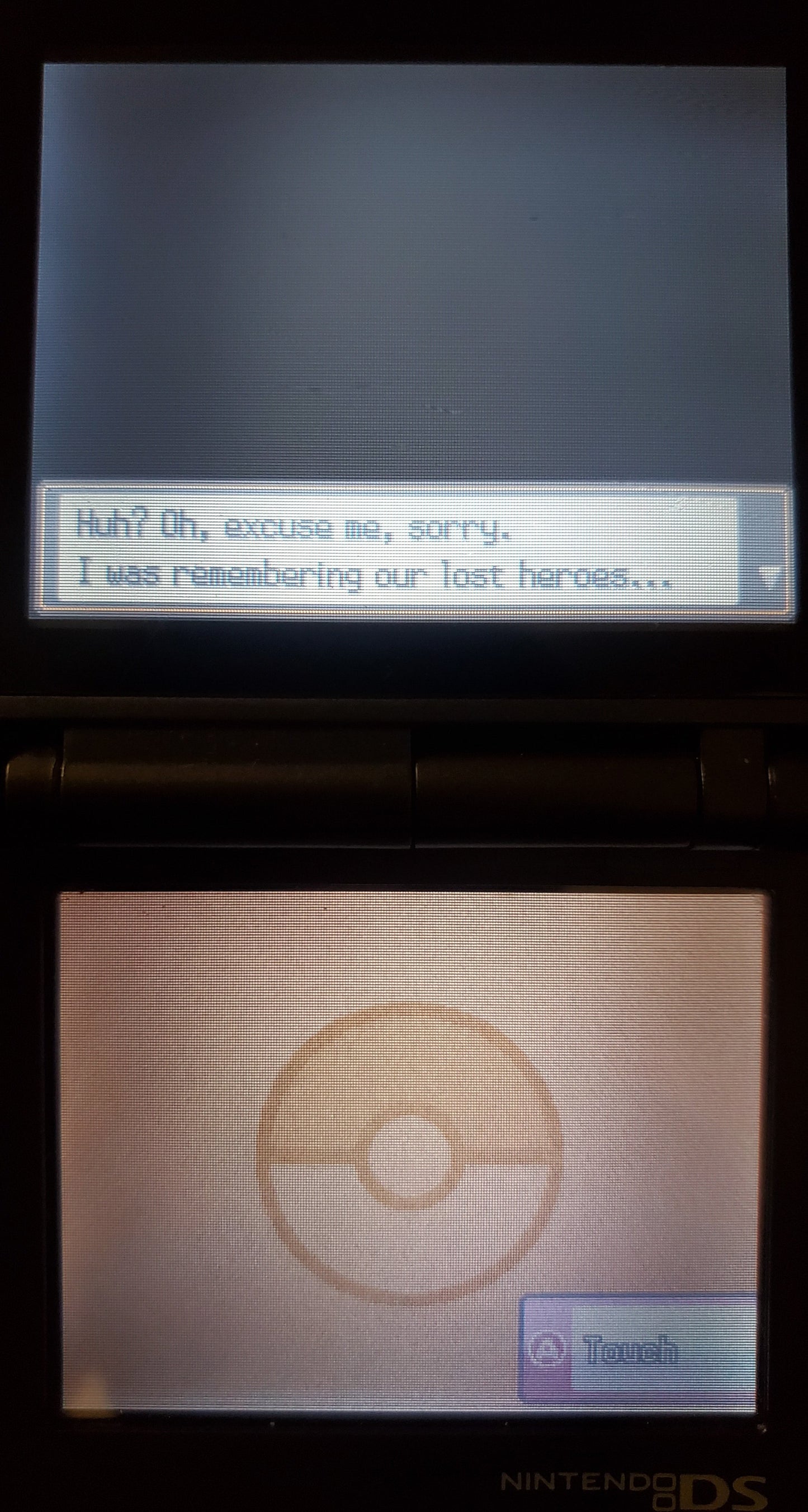 Pokemon GarbageGold NDS Nintendo DS Custom ROM Hack Video Game