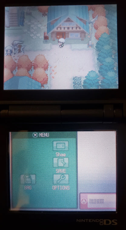 Pokemon GarbageGold NDS Nintendo DS Custom ROM Hack Video Game