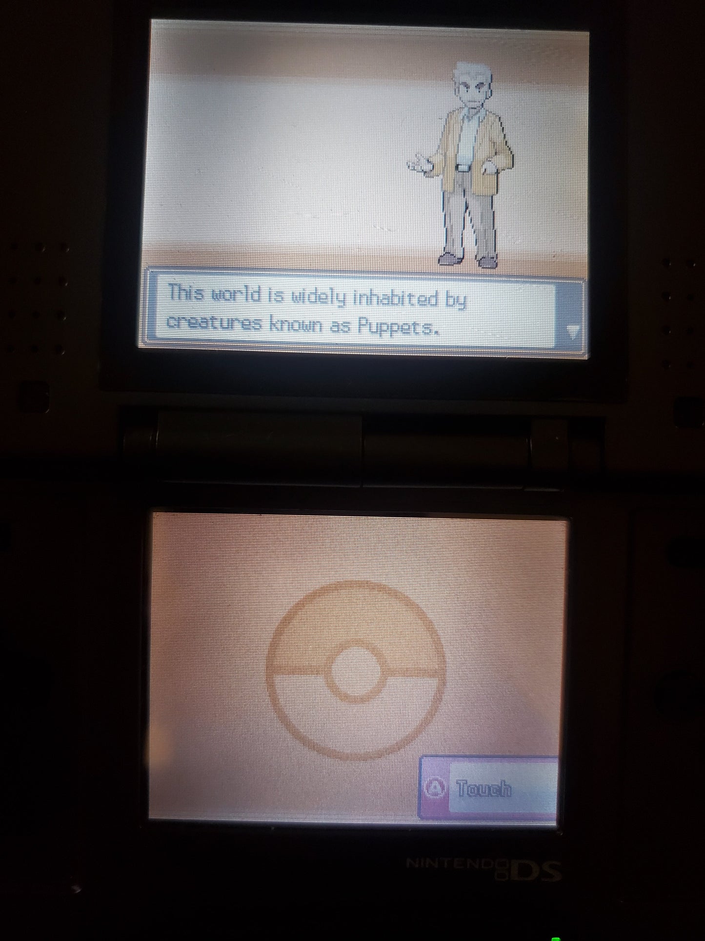 Pokemon Touhoumon HeartGold NDS Nintendo DS Custom ROM Hack Video Game